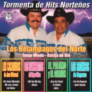 Tormenta De Hits Nortenos