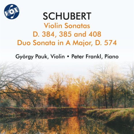 Violin Sonata in A Major, Op. 162, D. 574 Grand Duo: I. Allegro moderato ft. Peter Frankl | Boomplay Music