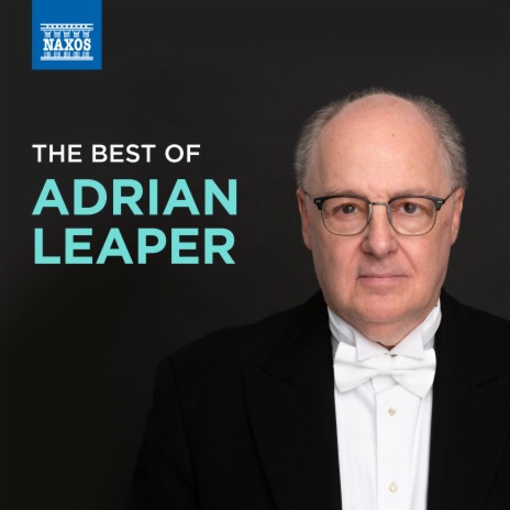 Violin Concerto in D Minor, Op. 47: II. Adagio di molto ft. Slovak Radio Symphony Orchestra & Adrian Leaper | Boomplay Music