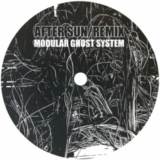 After Sun (Modular Ghost System Remix)