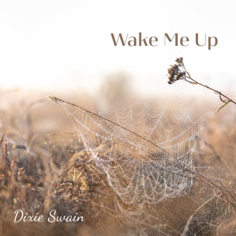 Wake Me Up | Boomplay Music