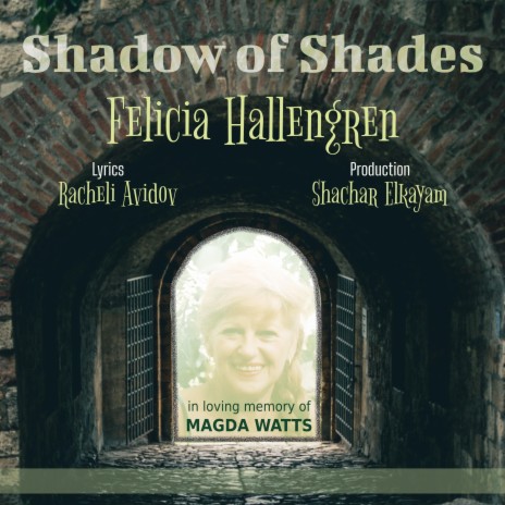 SHADOW OF SHADES (English Version) | Boomplay Music