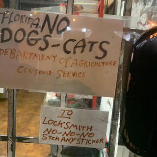 No Dogs-Cats