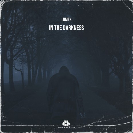 In the Darkness (Extended Mix) | Boomplay Music