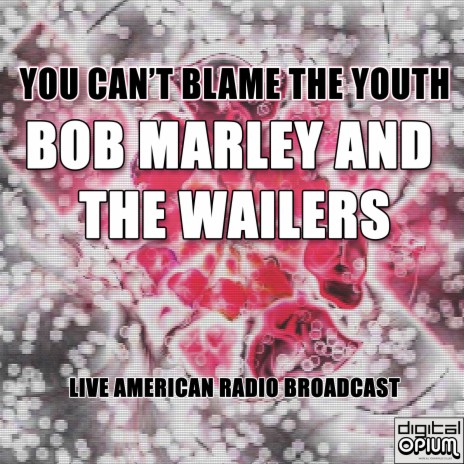 You Can't Blame The Youth (Live) | Boomplay Music