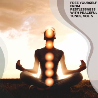 Free Yourself from Restlessness with Peaceful Tunes, Vol. 5