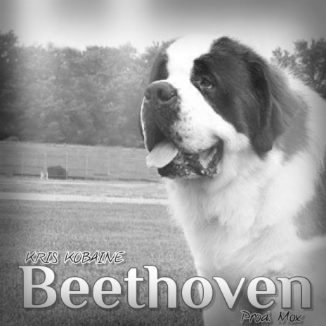 Beethoven | Boomplay Music