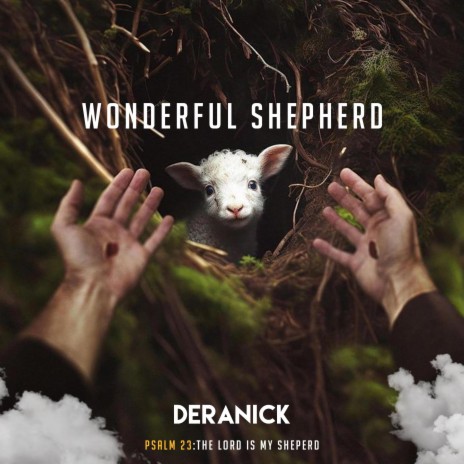 Wonderful Shepherd | Boomplay Music