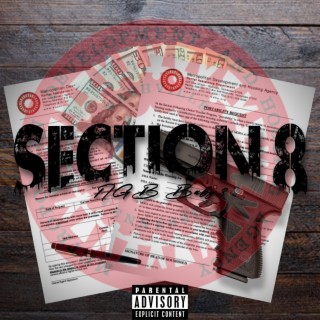 Section 8