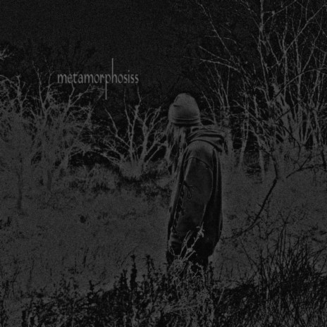 metamorphosiss ft. FLVTLINE | Boomplay Music