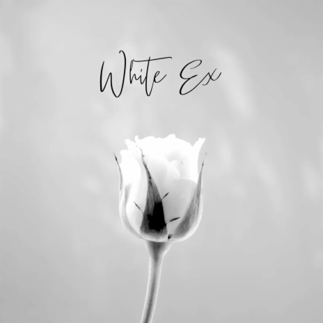 White Ex | Boomplay Music