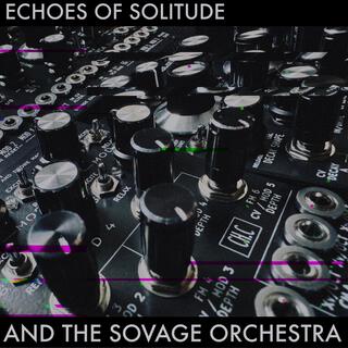 ECHOES OF SOLITUDE