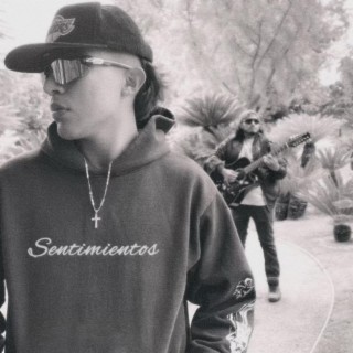 Sentimientos lyrics | Boomplay Music