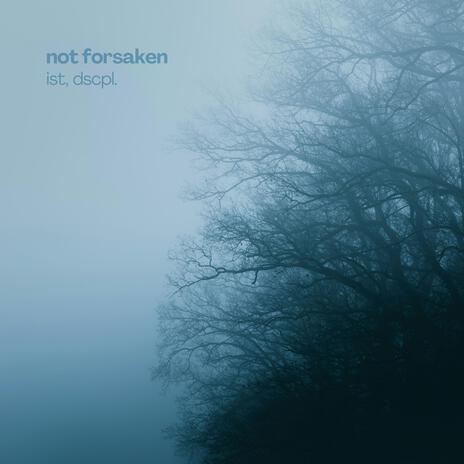 not forsaken ft. dscpl.