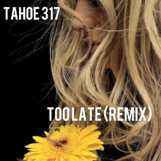Too Late (Remix)