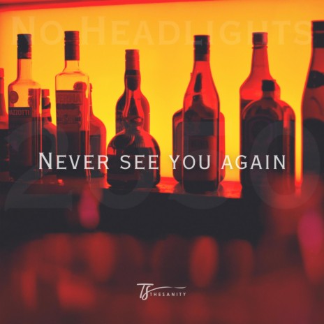 Never See You Again | Boomplay Music