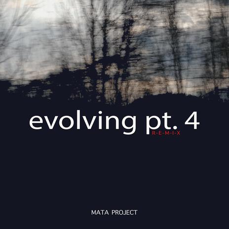 Evolving Pt. 4 (RMX) | Boomplay Music