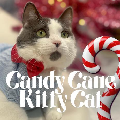 Candy Cane Kitty Cat