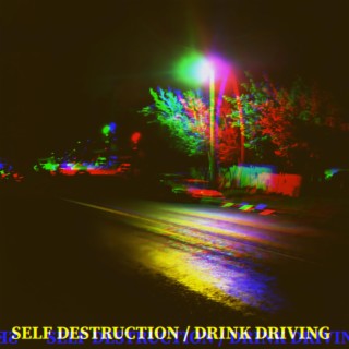 Self Destruction lyrics | Boomplay Music