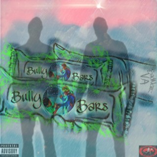 Bully Bars