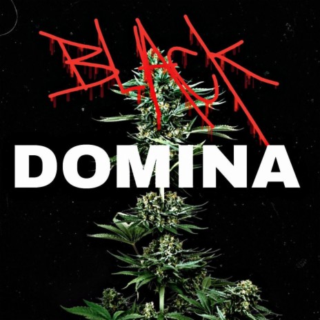 Black Domina | Boomplay Music