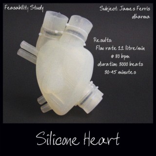 Silicone Heart
