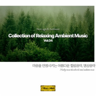 Collection of Relaxing Ambient Music Vol.4
