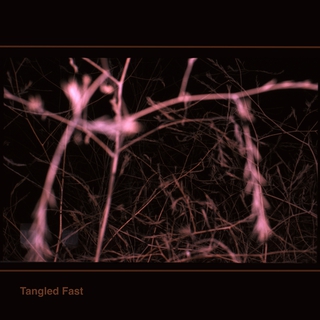 Tangled Fast