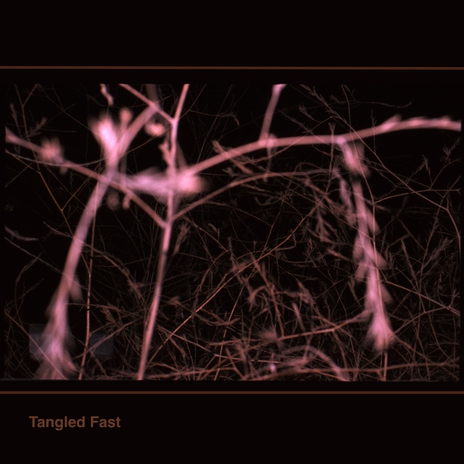 Tangled Fast | Boomplay Music