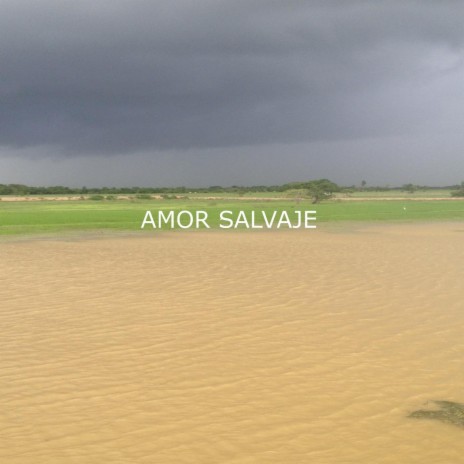 Amor Salvaje | Boomplay Music