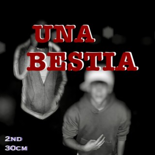 Una Bestia