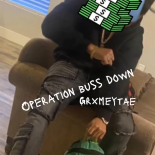 Operation buss down