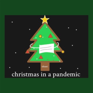christmas in a pandemic