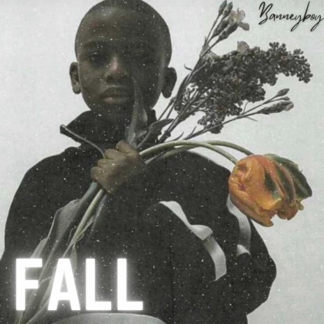 Fall | Boomplay Music