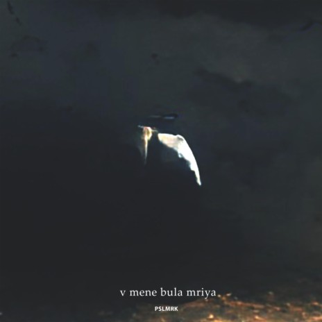 V mene bula mriya | Boomplay Music