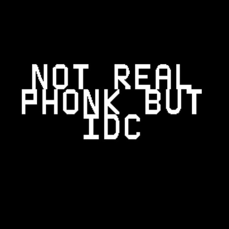 NOT REAL PHONK BUT IDC | Boomplay Music