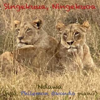 Singekuua, Ningekuoa ft. Philemon Okondo lyrics | Boomplay Music