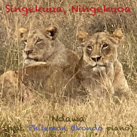 Singekuua, Ningekuoa ft. Philemon Okondo | Boomplay Music