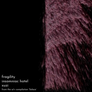 fragility (feat. xuzi)