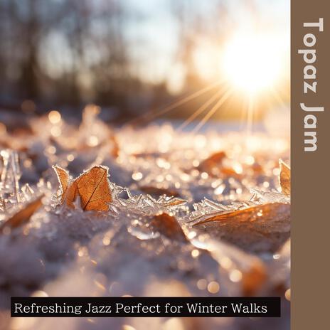 Wintry's Glistening Glow | Boomplay Music