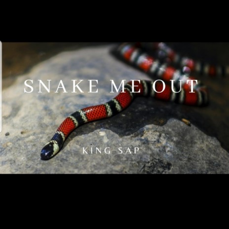 Snake Me Out | Boomplay Music