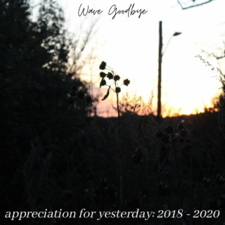 appreciation for yesterday: 2018 to 2020