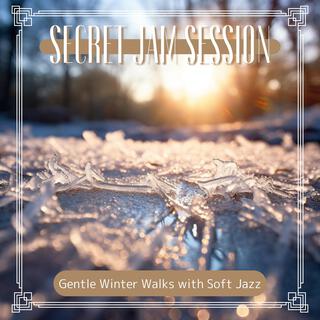 Gentle Winter Walks with Soft Jazz