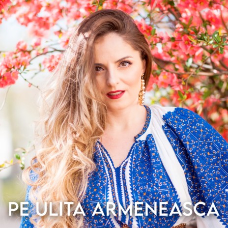 Pe Ulita Armeneasca | Boomplay Music