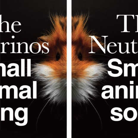 The Neutrinos - Small Animal Song MP3 Download & Lyrics | Boomplay