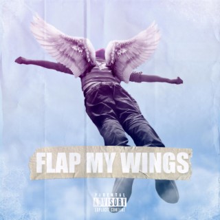 FLAP MY WINGS