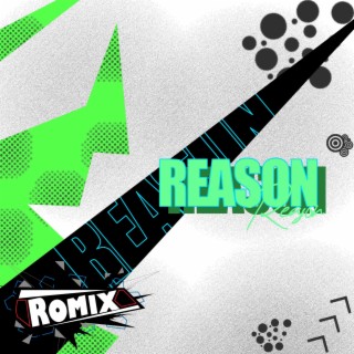 Reason Album Mix