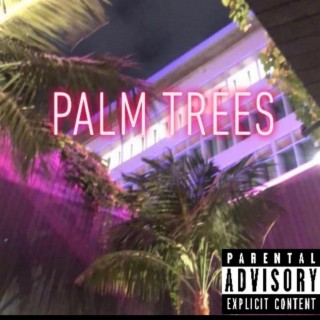 Palm Trees