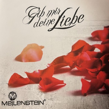 Gib mir Deine Liebe (Radio Version) | Boomplay Music