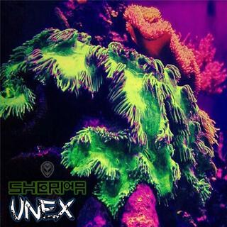 Unex